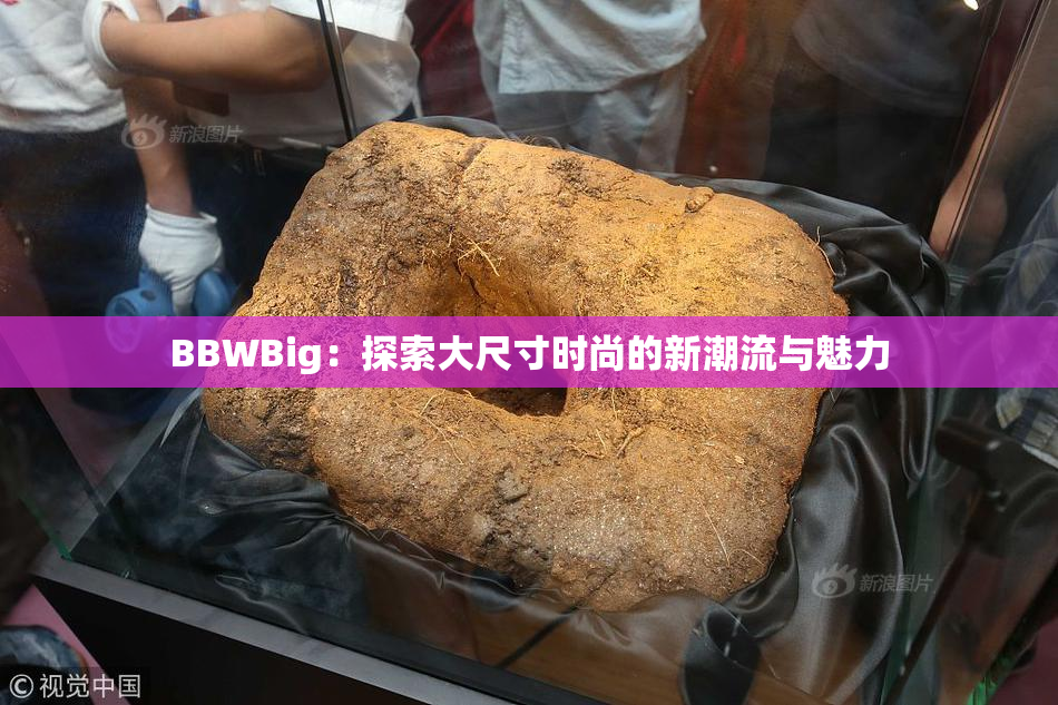 BBWBig：探索大尺寸时尚的新潮流与魅力