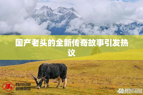 国产老头的全新传奇故事引发热议