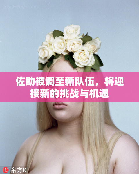 佐助被调至新队伍，将迎接新的挑战与机遇