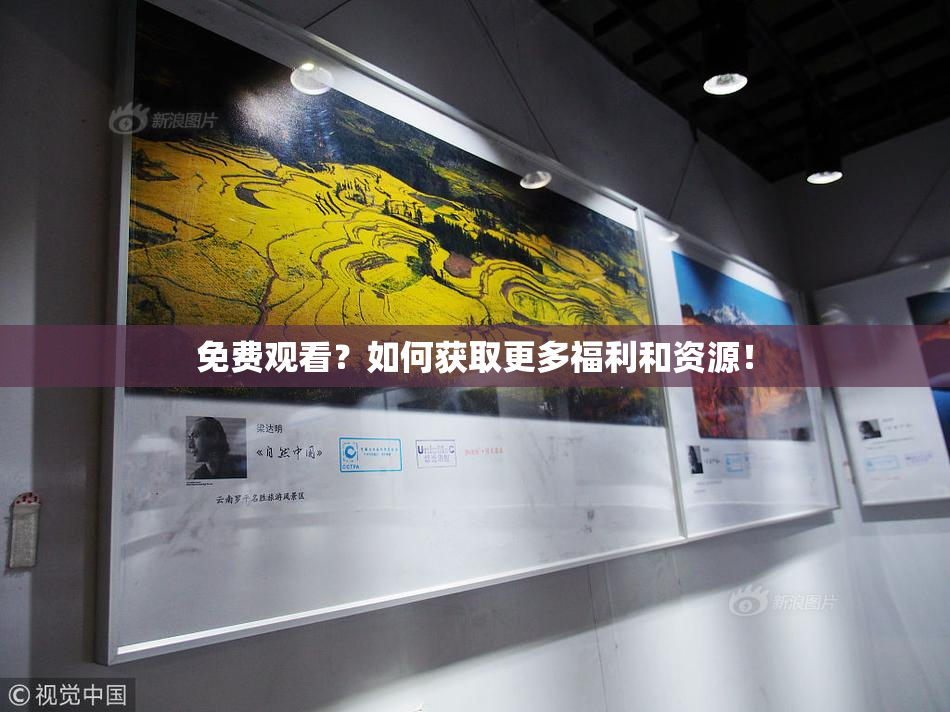 免费观看？如何获取更多福利和资源！