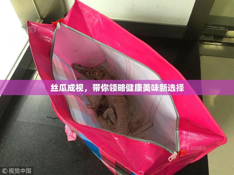 丝瓜成视，带你领略健康美味新选择