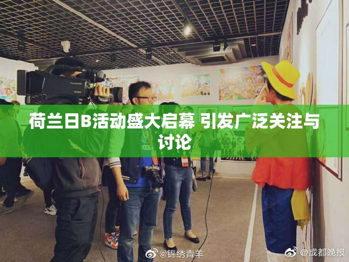 荷兰日B活动盛大启幕 引发广泛关注与讨论