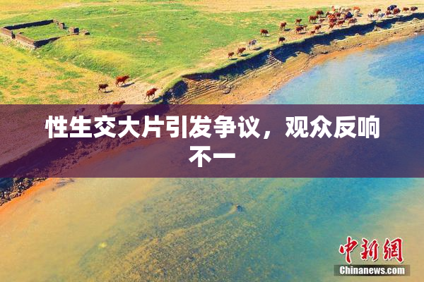 性生交大片引发争议，观众反响不一