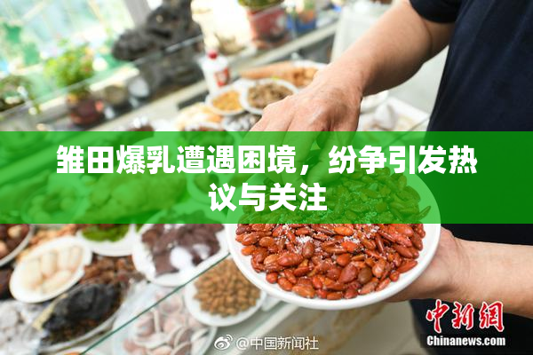 雏田爆乳遭遇困境，纷争引发热议与关注