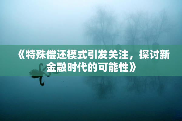 《特殊偿还模式引发关注，探讨新金融时代的可能性》
