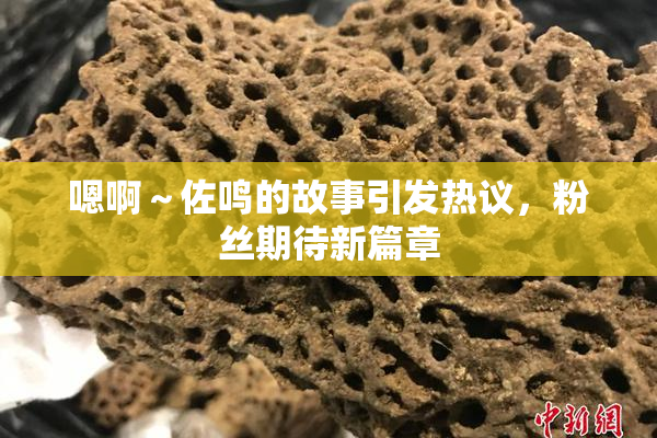 嗯啊～佐鸣的故事引发热议，粉丝期待新篇章