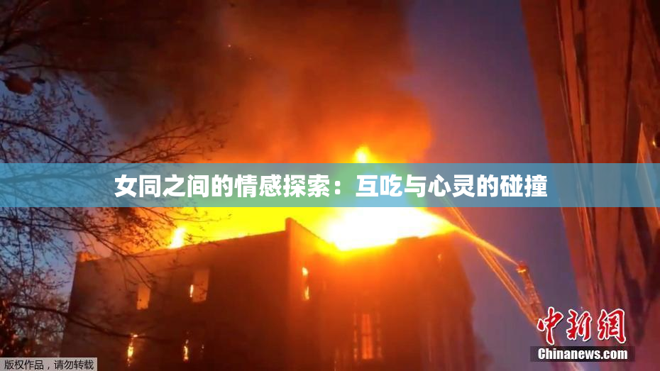 女同之间的情感探索：互吃与心灵的碰撞