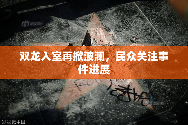 双龙入室再掀波澜，民众关注事件进展