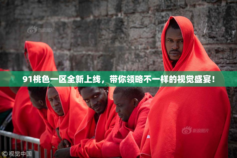 91桃色一区全新上线，带你领略不一样的视觉盛宴！