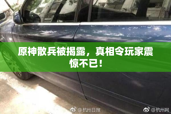原神散兵被揭露，真相令玩家震惊不已！