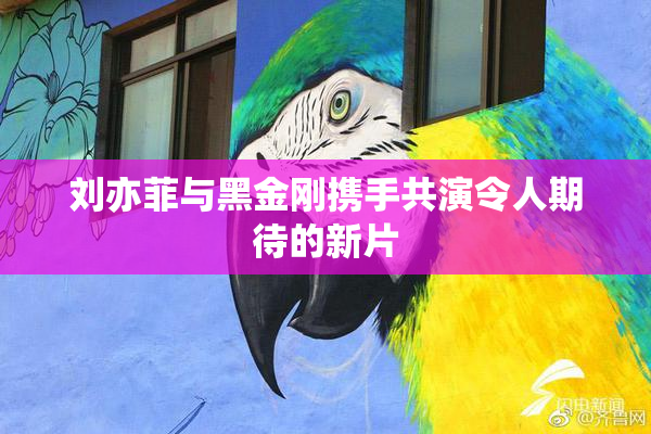 刘亦菲与黑金刚携手共演令人期待的新片