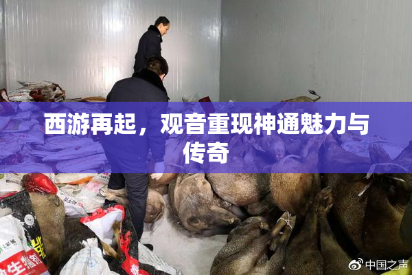 西游再起，观音重现神通魅力与传奇