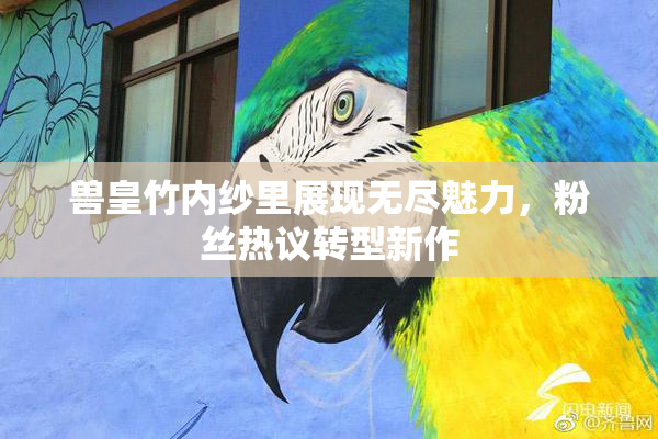 兽皇竹内纱里展现无尽魅力，粉丝热议转型新作