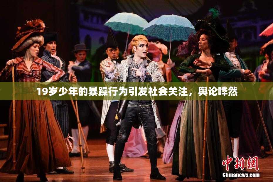 19岁少年的暴躁行为引发社会关注，舆论哗然