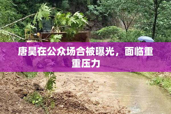 唐昊在公众场合被曝光，面临重重压力
