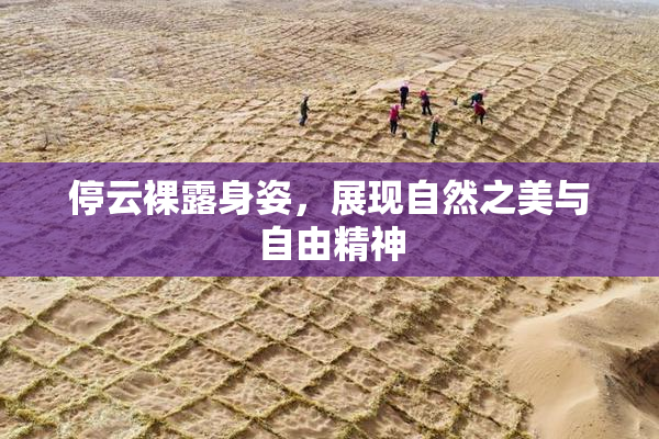 停云裸露身姿，展现自然之美与自由精神