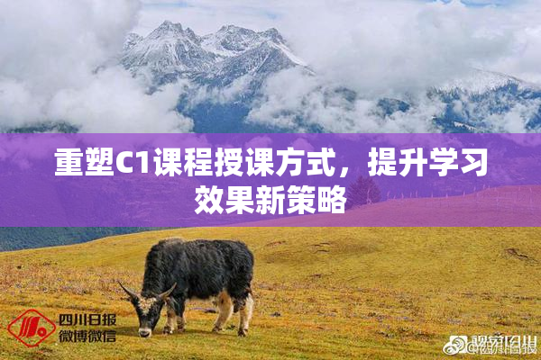 重塑C1课程授课方式，提升学习效果新策略