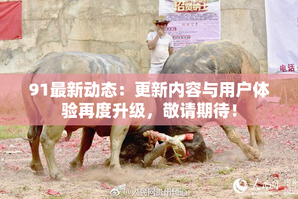 91最新动态：更新内容与用户体验再度升级，敬请期待！