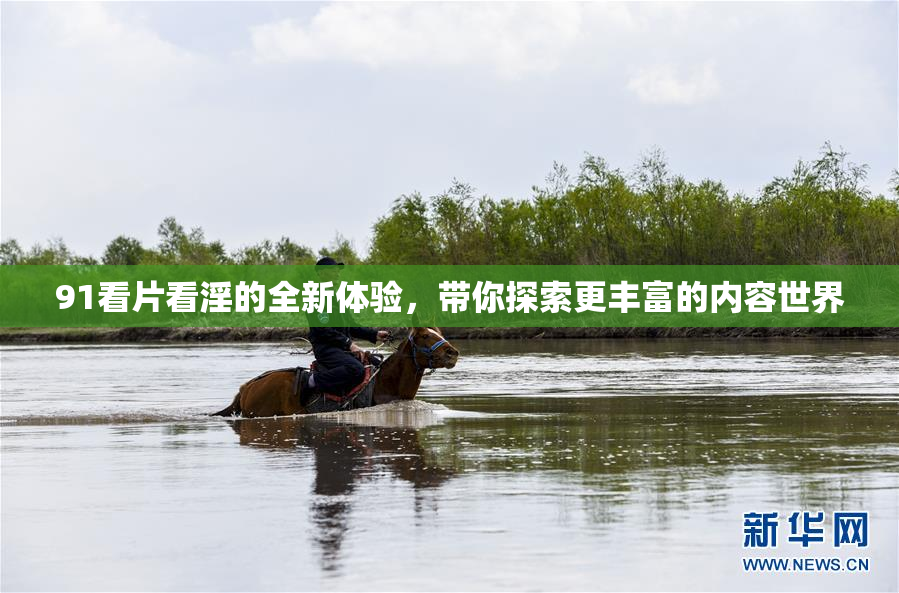 91看片看淫的全新体验，带你探索更丰富的内容世界