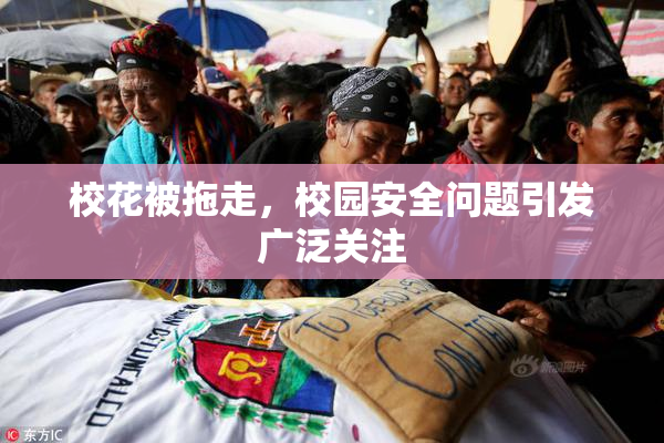 校花被拖走，校园安全问题引发广泛关注