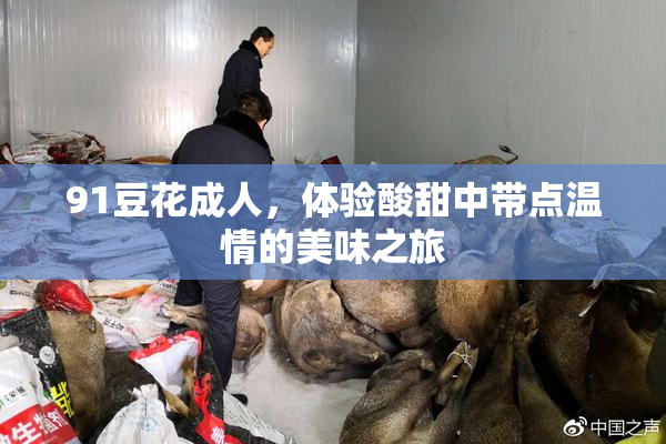 91豆花成人，体验酸甜中带点温情的美味之旅