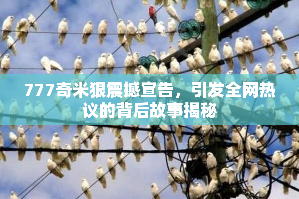 777奇米狠震撼宣告，引发全网热议的背后故事揭秘