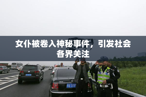 女仆被卷入神秘事件，引发社会各界关注