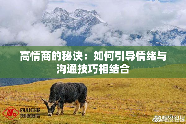 高情商的秘诀：如何引导情绪与沟通技巧相结合