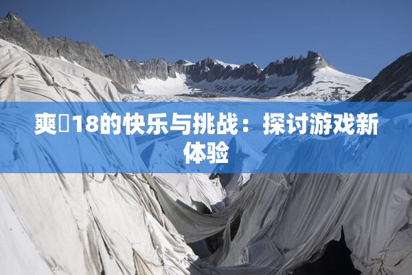 爽擼18的快乐与挑战：探讨游戏新体验