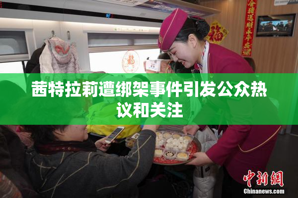茜特拉莉遭绑架事件引发公众热议和关注