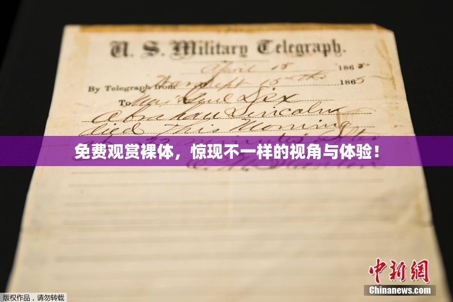 免费观赏裸体，惊现不一样的视角与体验！