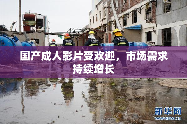 国产成人影片受欢迎，市场需求持续增长