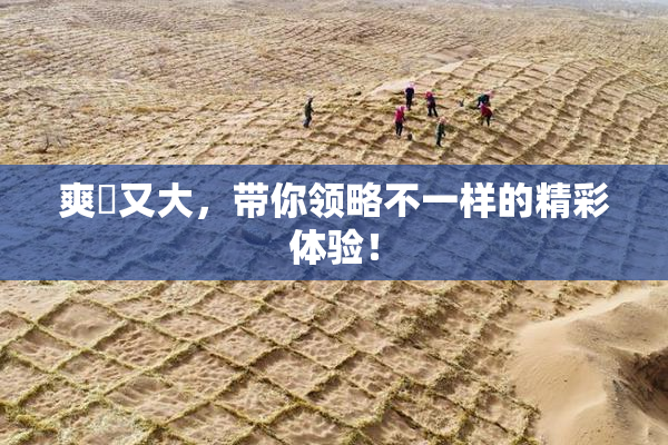 爽擼又大，带你领略不一样的精彩体验！