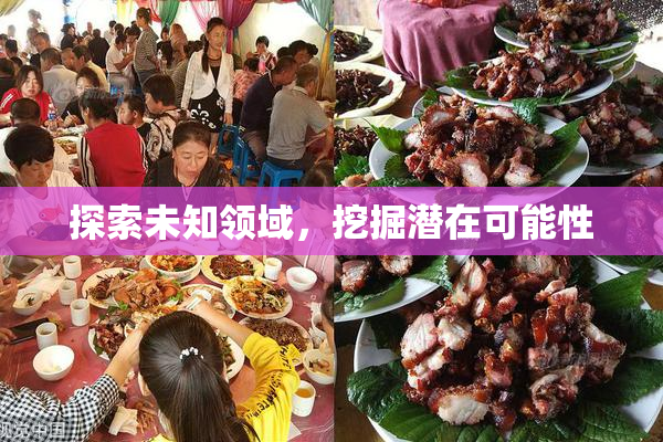 探索未知领域，挖掘潜在可能性