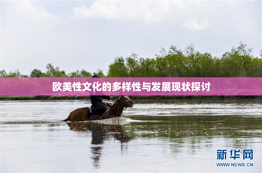 欧美性文化的多样性与发展现状探讨