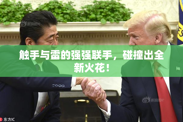 触手与雷的强强联手，碰撞出全新火花！