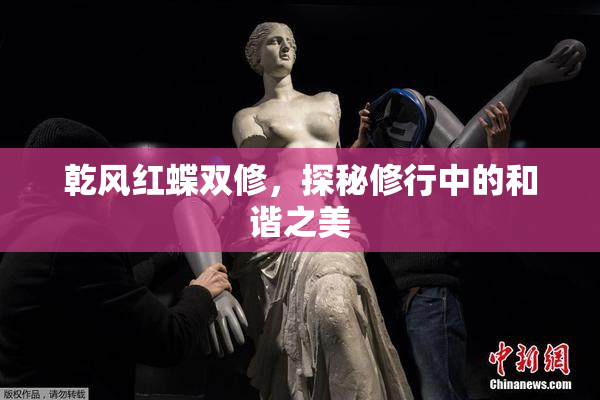 乾风红蝶双修，探秘修行中的和谐之美