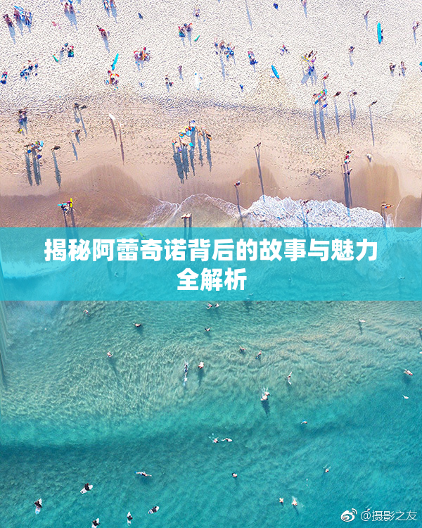 揭秘阿蕾奇诺背后的故事与魅力全解析