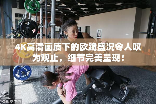 4K高清画质下的欧跪盛况令人叹为观止，细节完美呈现！