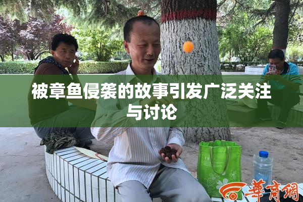 被章鱼侵袭的故事引发广泛关注与讨论