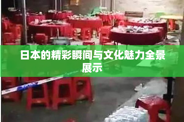 日本的精彩瞬间与文化魅力全景展示