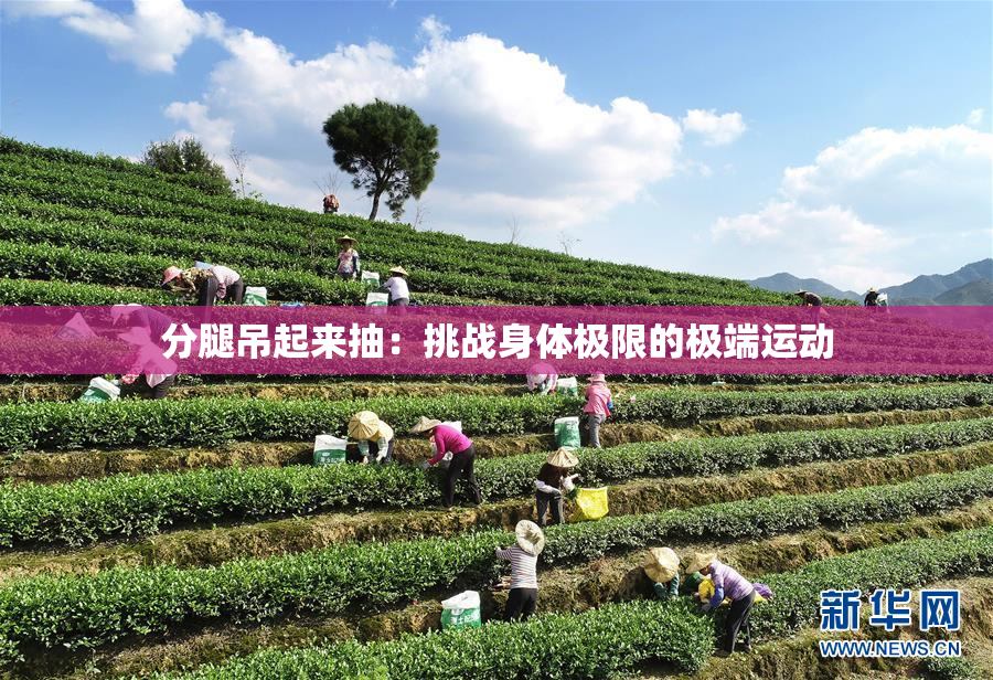 分腿吊起来抽：挑战身体极限的极端运动