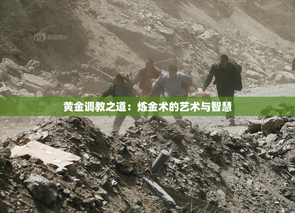 黄金调教之道：炼金术的艺术与智慧