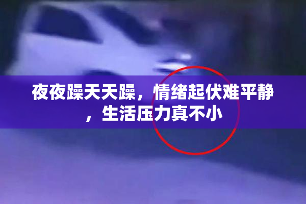 夜夜躁天天躁，情绪起伏难平静，生活压力真不小