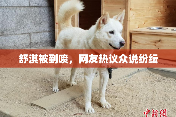 舒淇被到喷，网友热议众说纷纭