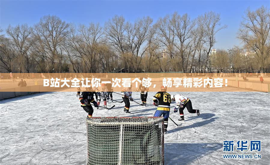 B站大全让你一次看个够，畅享精彩内容！