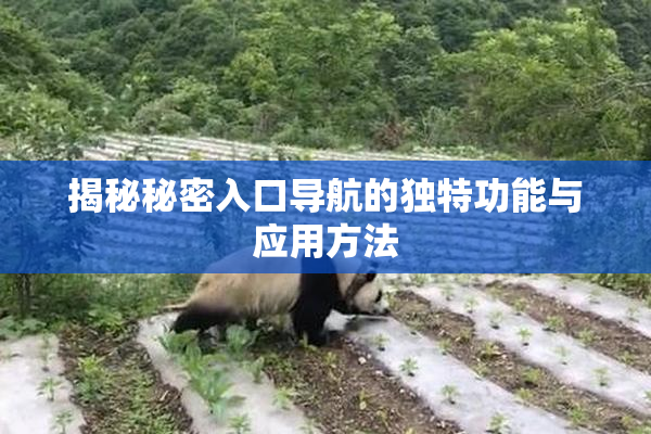 揭秘秘密入口导航的独特功能与应用方法