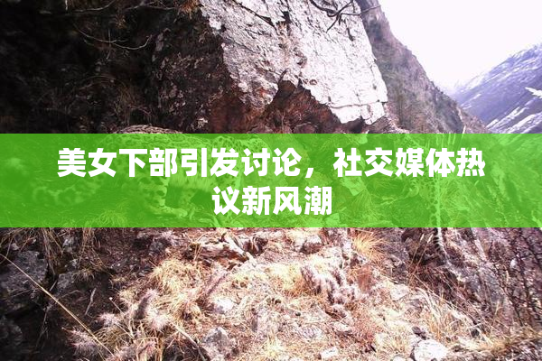 美女下部引发讨论，社交媒体热议新风潮