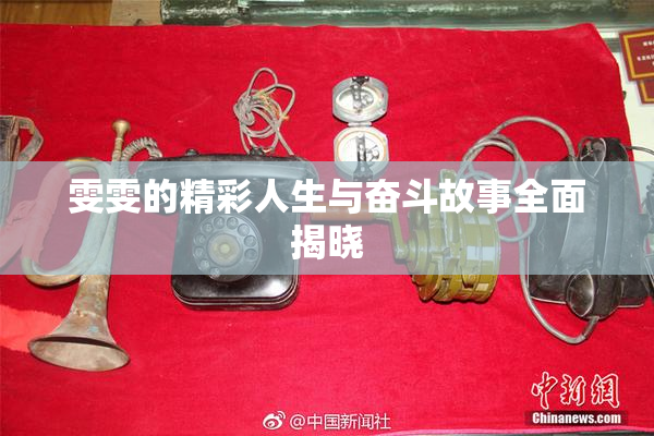 雯雯的精彩人生与奋斗故事全面揭晓