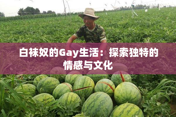 白袜奴的Gay生活：探索独特的情感与文化